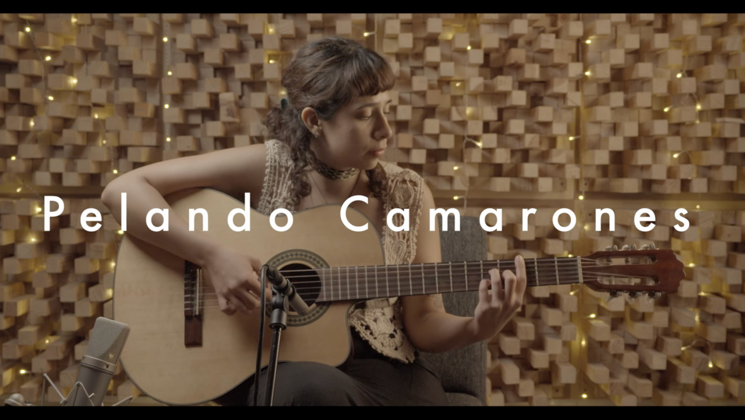 Mar Andrade - Pelando Camarones // PYL Session